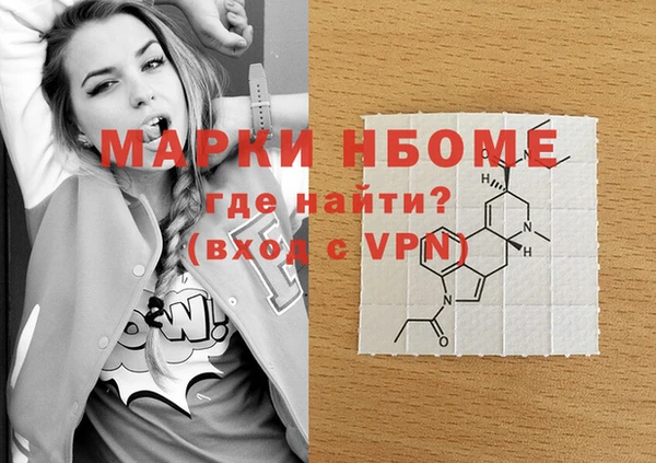 индика Краснослободск