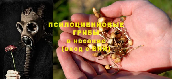 не бодяженный Заводоуковск