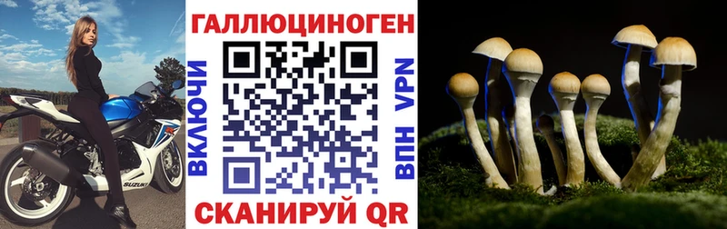 Псилоцибиновые грибы Magic Shrooms  omg ССЫЛКА  Байкальск  магазин продажи  
